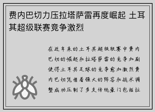费内巴切力压拉塔萨雷再度崛起 土耳其超级联赛竞争激烈